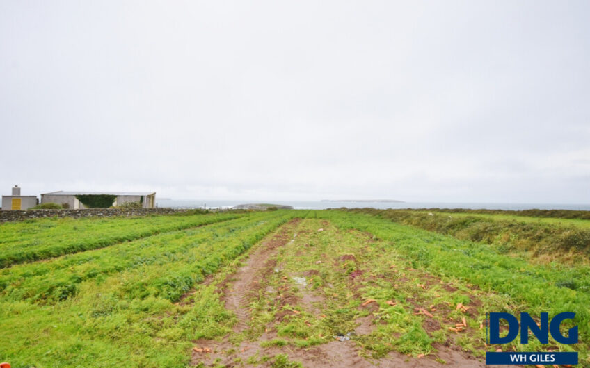 Fahamore, Maherees, Castlegregory, County Kerry