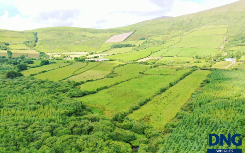 Coumduff, Annascaul, County Kerry.
