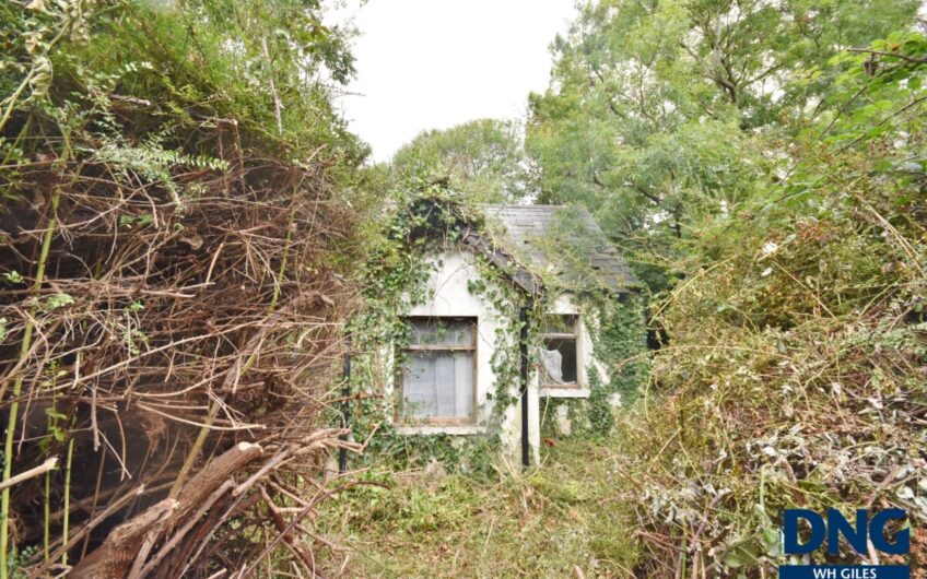 Slieve Road, Knockanush, Tralee, County Kerry.