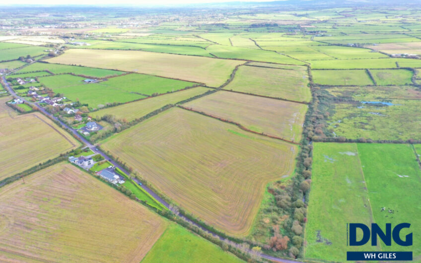 Graigue, Ardfert, County Kerry.