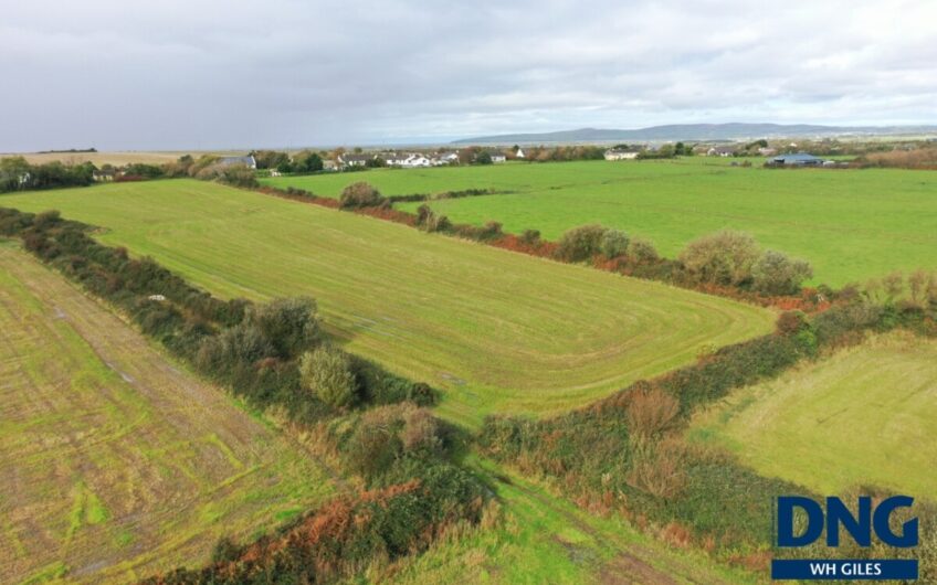 Graigue, Ardfert, County Kerry.