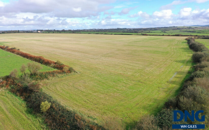 Graigue, Ardfert, County Kerry.