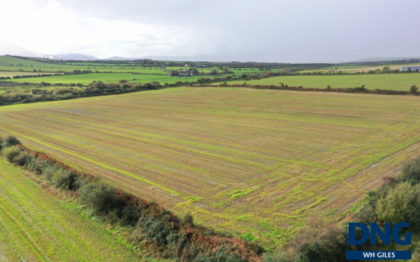 Graigue, Ardfert, County Kerry.