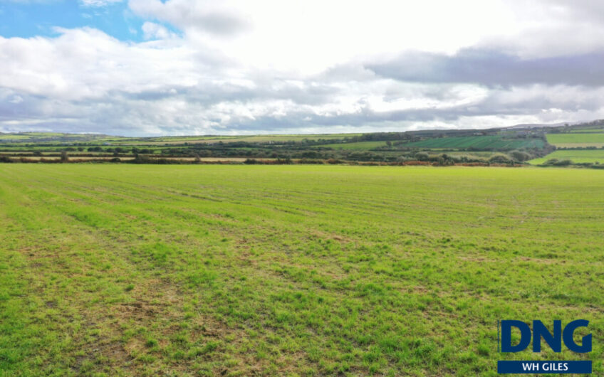 Graigue, Ardfert, County Kerry.