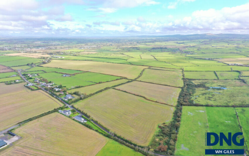 Graigue, Ardfert, County Kerry.