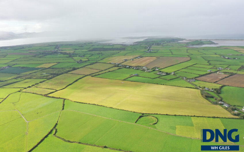 Graigue, Ardfert, County Kerry.