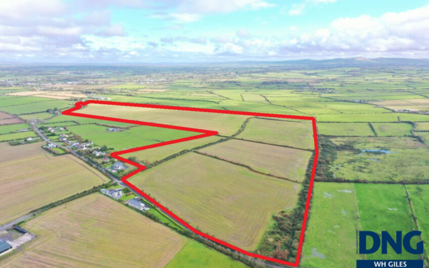 Graigue, Ardfert, County Kerry.