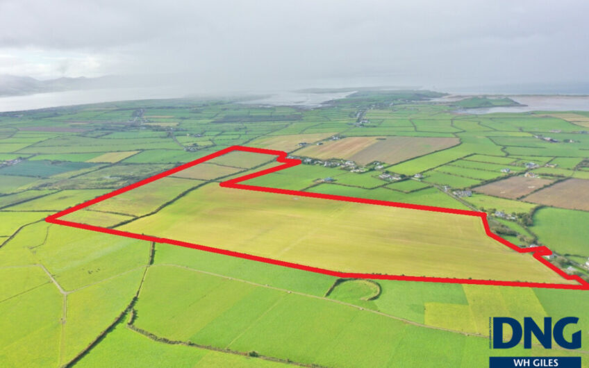 Graigue, Ardfert, County Kerry.