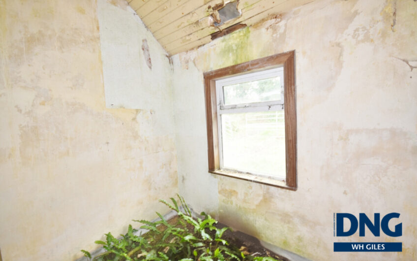 Laccamore, Kilflynn, County Kerry. V92 YA43