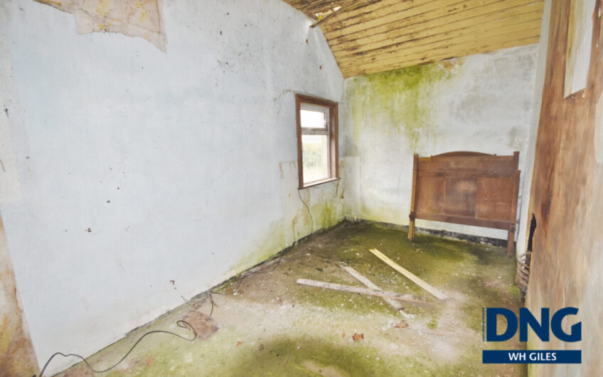 Laccamore, Kilflynn, County Kerry. V92 YA43