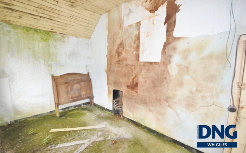 Laccamore, Kilflynn, County Kerry. V92 YA43