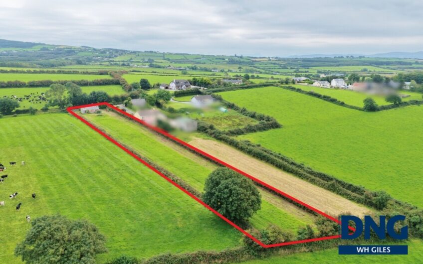 Laccamore, Kilflynn, County Kerry. V92 YA43