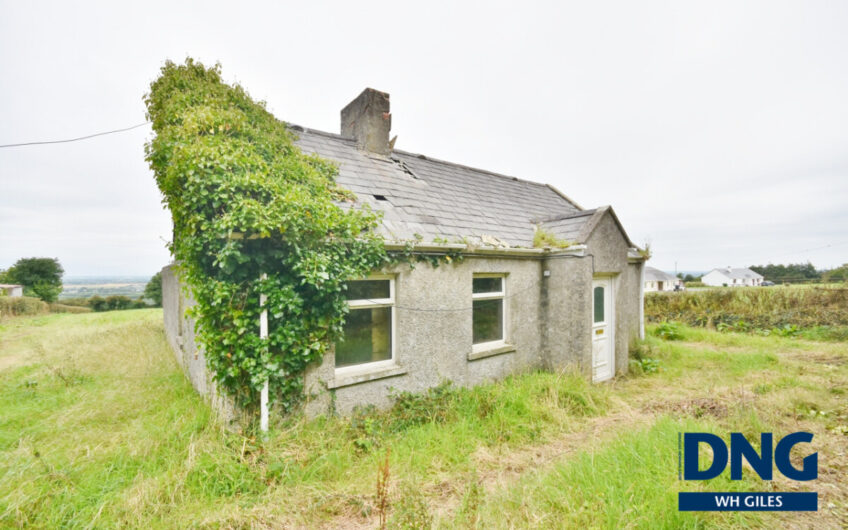 Laccamore, Kilflynn, County Kerry. V92 YA43