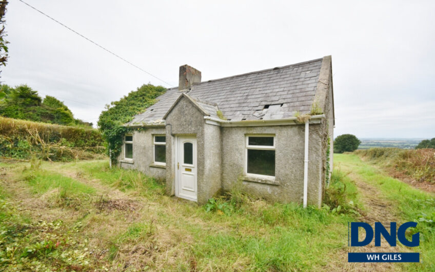 Laccamore, Kilflynn, County Kerry. V92 YA43