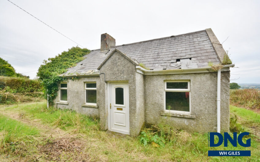 Laccamore, Kilflynn, County Kerry. V92 YA43