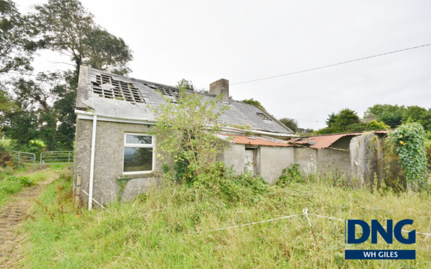 Laccamore, Kilflynn, County Kerry. V92 YA43