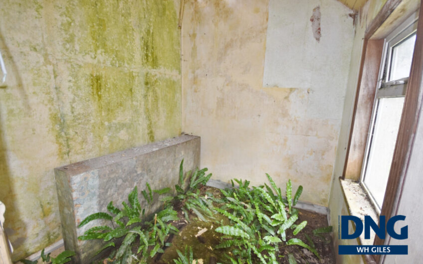 Laccamore, Kilflynn, County Kerry. V92 YA43